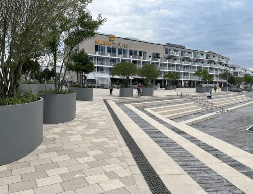 Begrünung der Priwall-Promenade