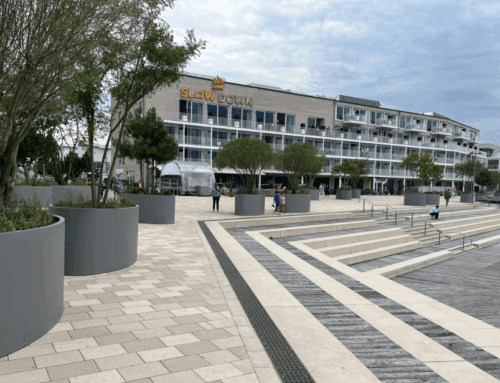 Begrünung der Priwall-Promenade